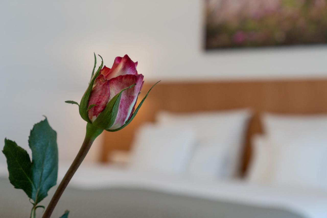 Hotel Elysee Зелингенщад Екстериор снимка
